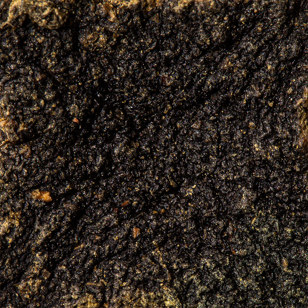 Gunpowder Green Tea